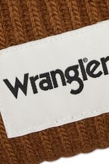 Зимняя шапка Wrangler цена и информация | Мужские шарфы, шапки, перчатки | 220.lv