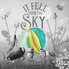 It Fell from the Sky цена и информация | Книги для подростков  | 220.lv