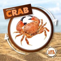 Crab цена и информация | Книги для подростков  | 220.lv