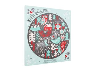 Winter Wonderland Adventes kalendārs/dāvanu komplekts cena un informācija | Dušas želejas, eļļas | 220.lv