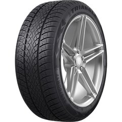 195/55R20 Triangle TW 401 95 H XL, M+S cena un informācija | Ziemas riepas | 220.lv