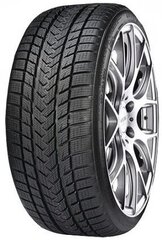 Gripmax Suregrip Pro Winter 102 V 255/40R21, P+XL цена и информация | Зимняя резина | 220.lv