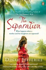 Separation: Discover the perfect escapist read from the No.1 Sunday Times bestselling author of The Tea Planter's Wife cena un informācija | Fantāzija, fantastikas grāmatas | 220.lv