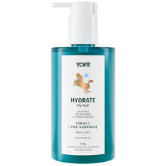Mitrinošs šampūns sausai ādai, ar peptīdiem Yope Hydrate, 300ml cena un informācija | Matu kondicionieri, balzāmi | 220.lv