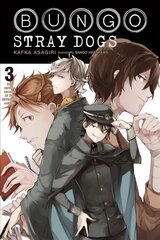 Bungo Stray Dogs, Vol. 3 (light novel) cena un informācija | Grāmatas pusaudžiem un jauniešiem | 220.lv