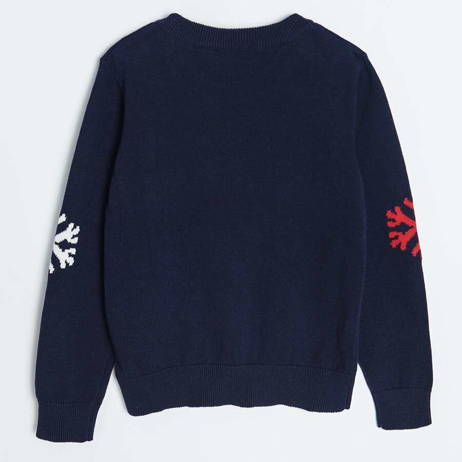 Cool Club džemperis zēniem, CCB2513311 цена и информация | Zēnu jakas, džemperi, žaketes, vestes | 220.lv