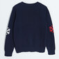 Cool Club džemperis zēniem, CCB2513311 цена и информация | Zēnu jakas, džemperi, žaketes, vestes | 220.lv
