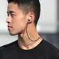 Austiņu furālis Uniq Vencer AirPods 3rd gen. cena un informācija | Austiņu piederumi | 220.lv