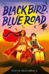 Black Bird, Blue Road цена и информация | Книги для подростков  | 220.lv