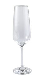 Бокалы для шампанского Villeroy & Boch Vivo, 4 шт. цена и информация | Стаканы, фужеры, кувшины | 220.lv