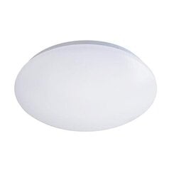 LED plafons 12W 4000K цена и информация | Потолочные светильники | 220.lv