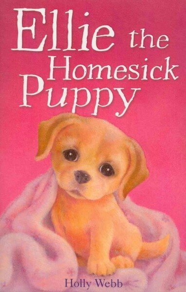 Ellie the Homesick Puppy cena un informācija | Grāmatas pusaudžiem un jauniešiem | 220.lv
