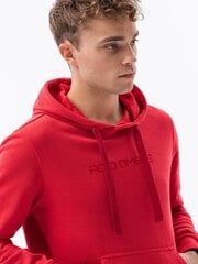 Sarkans vīriešu džemperis Lutol B1351-49706-M cena un informācija | Vīriešu jakas | 220.lv