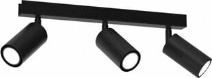 Потолочный светильник HUDSON BLACK 3xGU10 цена и информация | Потолочные светильники | 220.lv