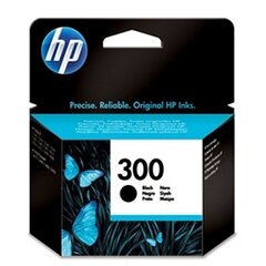 Картридж HP 300 цена и информация | Картриджи для струйных принтеров | 220.lv