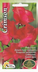 Цветочный горошек ароматный Crimson цена и информация | Семена цветов | 220.lv