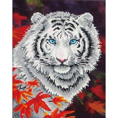 Dimantu mozaīka White Tiger In Autumn, 45,72x35,50 cm cena un informācija | Dimantu mozaīkas | 220.lv