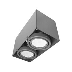 Потолочный светильник, 2х7w gu10 цена и информация | Потолочные светильники | 220.lv