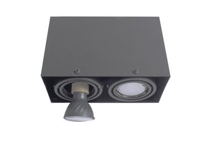 Griestu lampa, 2x7w gu10 cena un informācija | Griestu lampas | 220.lv