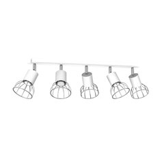 Milagro Griestu lampa pelēka 5x mini GU10 цена и информация | Потолочные светильники | 220.lv