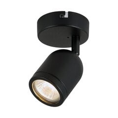 Milagro Sienas lampa PORTER 1XGU10 IP44 cena un informācija | Griestu lampas | 220.lv