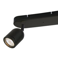 светильник, 2xgu10 ip44 цена и информация | Потолочные светильники | 220.lv