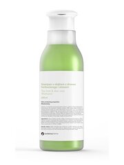 Matu šampūns Botanicapharma Tea Tree and Aloe, 250 ml cena un informācija | Šampūni | 220.lv