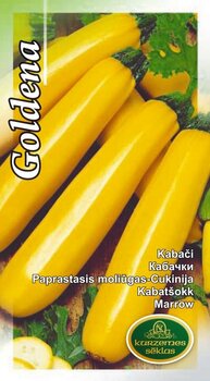 Кабачки Goldena цена и информация | Семена овощей, ягод | 220.lv