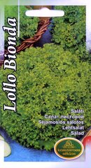 Salāti Lollo Bionda cena un informācija | Dārzeņu, ogu sēklas | 220.lv