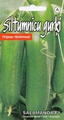 Gurķi Salamanda F1 цена и информация | Семена овощей, ягод | 220.lv