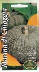 Тыквы Марина Ди Кьогга цена и информация | Семена овощей, ягод | 220.lv