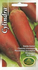 Свекла столовая Цилиндра. цена и информация | Семена овощей, ягод | 220.lv