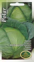 Kāposti Polar цена и информация | Семена овощей, ягод | 220.lv