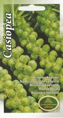 Брюссельская капуста Касиопея. цена и информация | Семена овощей, ягод | 220.lv