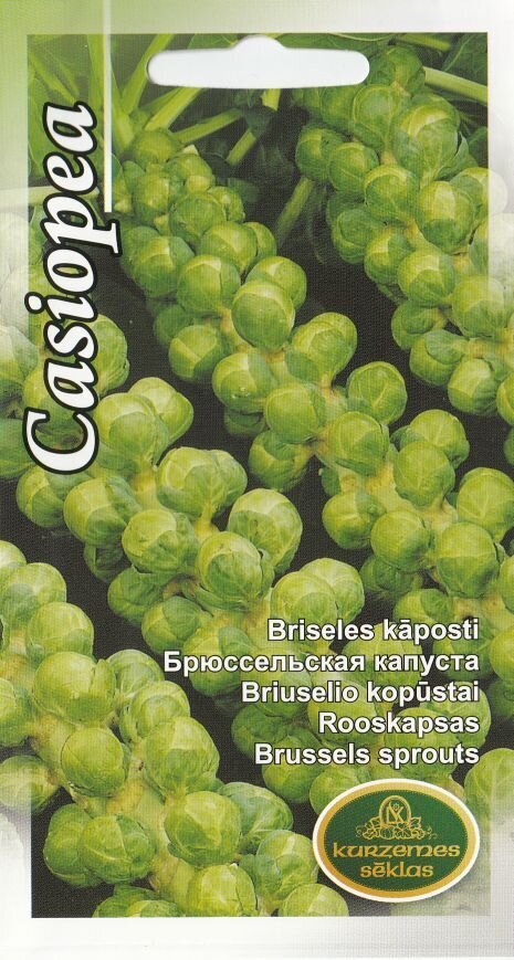 Briseles kāposti Casiopea цена и информация | Dārzeņu, ogu sēklas | 220.lv