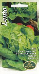 Салат Мэй Кинг цена и информация | Семена овощей, ягод | 220.lv