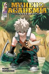 My Hero Academia, Vol. 29 cena un informācija | Fantāzija, fantastikas grāmatas | 220.lv