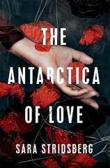 Antarctica of Love цена и информация | Романы | 220.lv