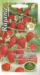Zemenes Rujana цена и информация | Семена овощей, ягод | 220.lv