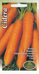 Семена моркови Cидepa цена и информация | Семена овощей, ягод | 220.lv