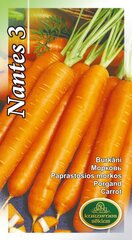 Burkāni Nantes 3 цена и информация | Семена овощей, ягод | 220.lv