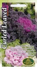Декоративная капуста Curled Leaved цена и информация | Семена цветов | 220.lv