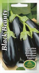Баклажаны BLACK BEAUTY цена и информация | Семена овощей, ягод | 220.lv