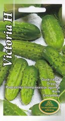 Огурцы Виктория Х цена и информация | Семена овощей, ягод | 220.lv