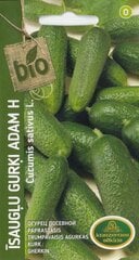 Gurķi Adam цена и информация | Семена овощей, ягод | 220.lv