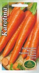 Burkāni Karotina цена и информация | Семена овощей, ягод | 220.lv