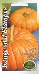 Тыквы Руж виф д'Этамп цена и информация | Семена овощей, ягод | 220.lv