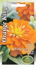 Цинния Orange King цена и информация | Семена цветов | 220.lv