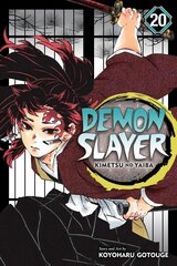 Demon Slayer: Kimetsu no Yaiba, Vol. 20 cena un informācija | Fantāzija, fantastikas grāmatas | 220.lv