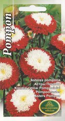 Asteres цена и информация | Семена цветов | 220.lv